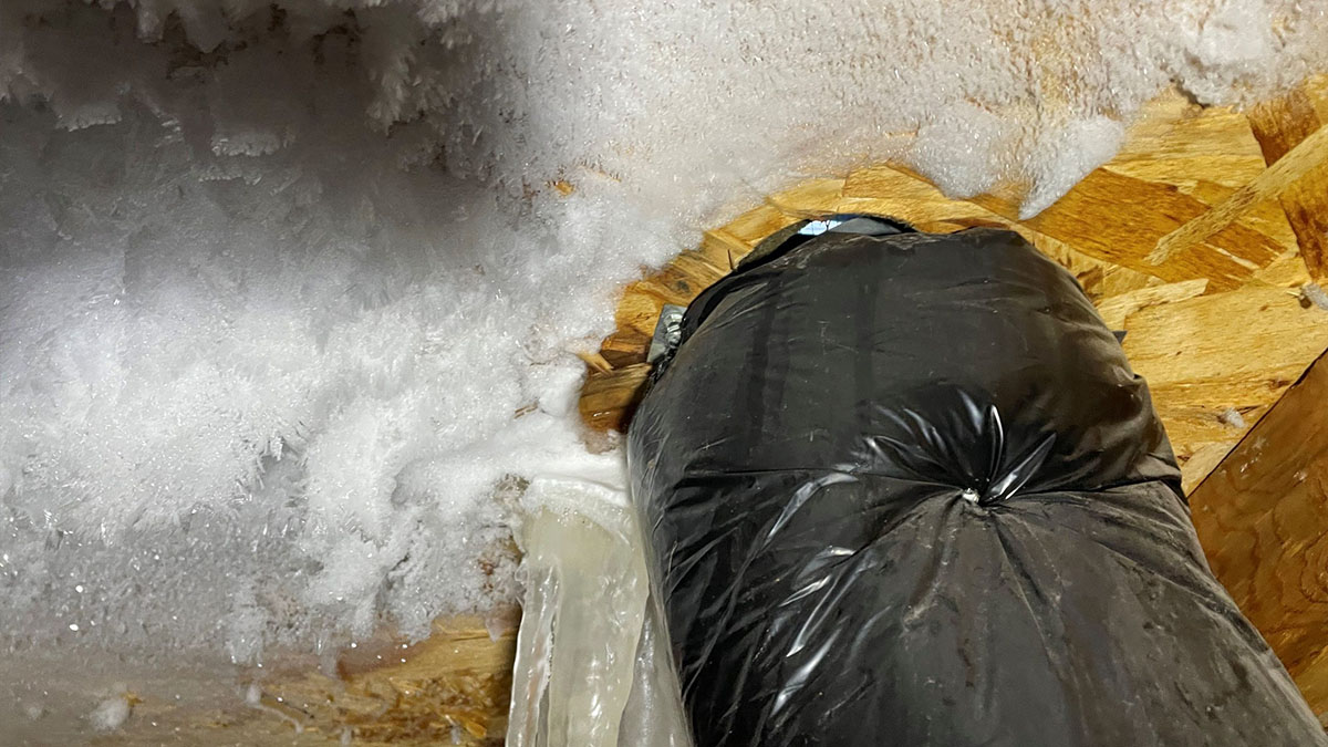 attic rain mould damage