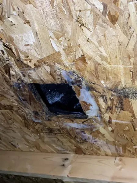 MOLD ON ROOF DECK FROM POOR CONNECTION ON BATHROOM EXHAUST VENT copy
