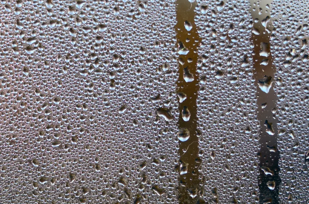 Why Bathroom Fans Should Run After a Shower (Especially in Calgary’s Climate)