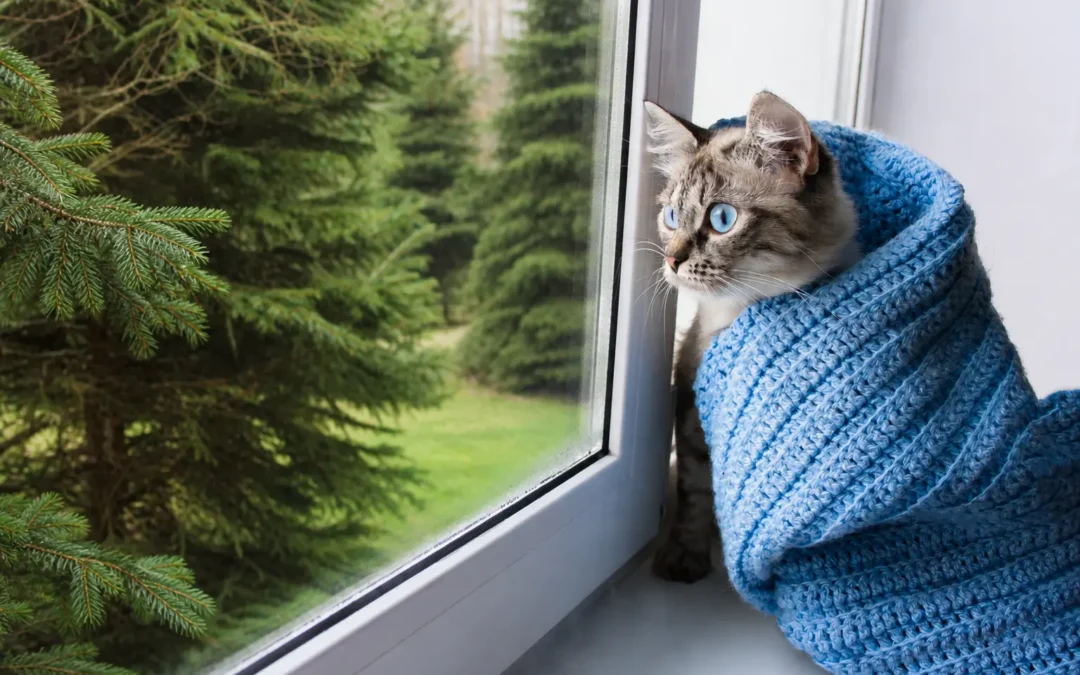 Cat staying warm indoors by a window in spring with green grass and evergreen trees outside, representing energy-efficient home insulation and indoor comfort in Calgary